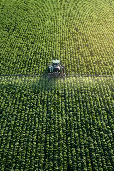 Sector agricultura
